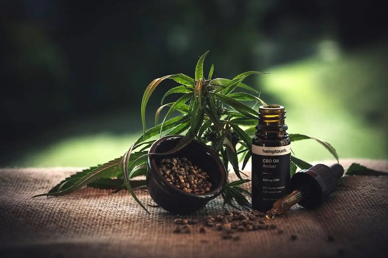What is Hemp Cannabis Oil?