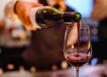 Discover the Best Wines for Beginners: Exploring the World of Wine Made Simple