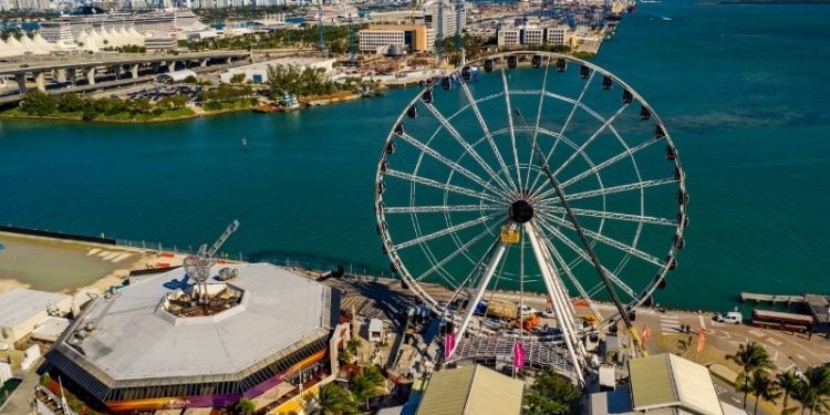 8 Exciting Things to Do in Miami for Adults