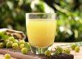 Best 10 Organic Juices That Enhance Your Immune System – HolyIndia